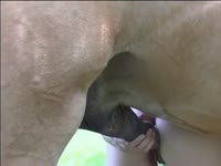 Awesome doggy style farm bestiality with a horse